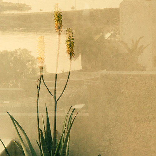 The Wild Hotel by Interni - Mykonos