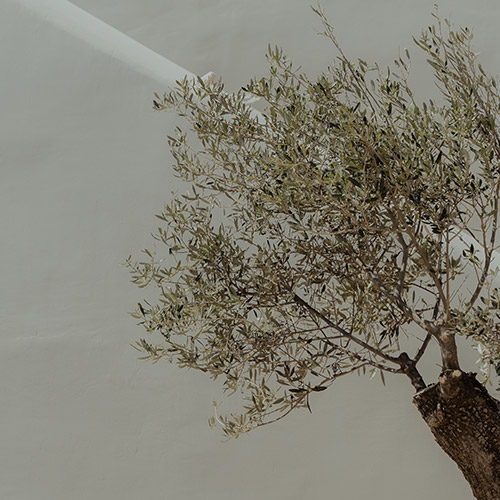 The Wild Hotel by Interni - Mykonos