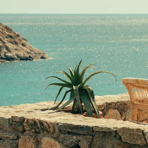 The Wild Hotel by Interni - Mykonos