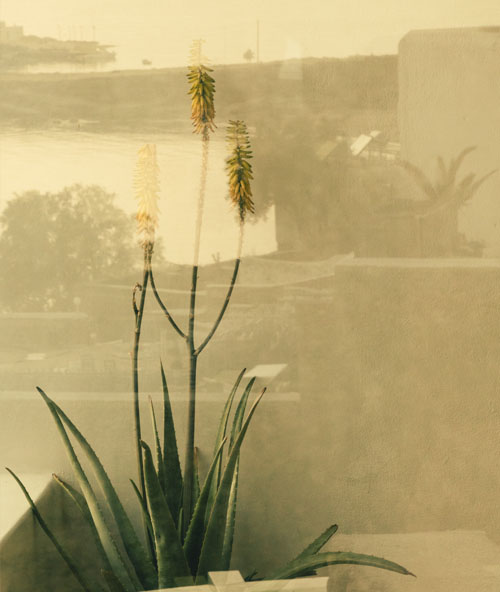 The Wild Hotel by Interni - Mykonos