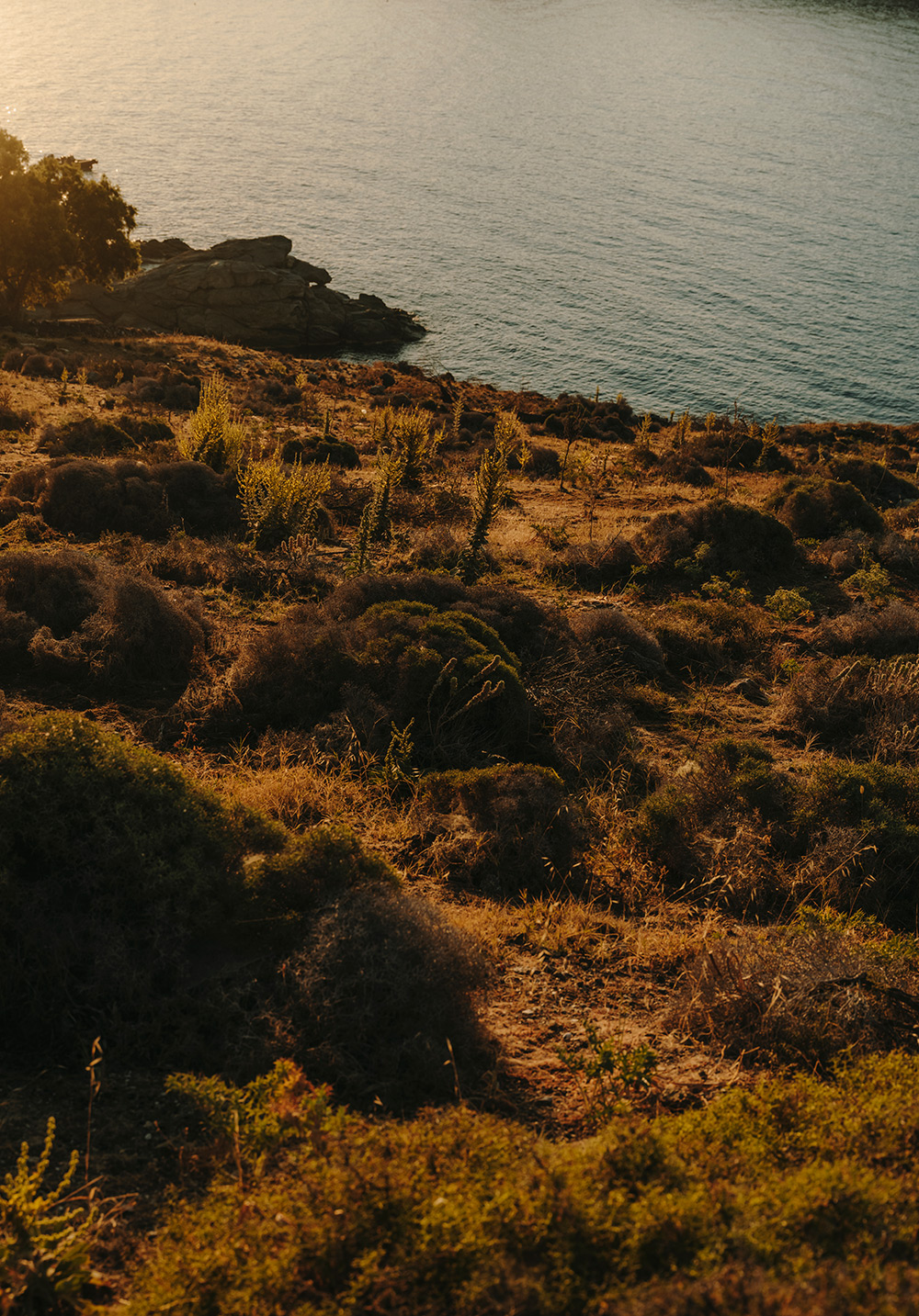 The Wild Hotel by Interni - Mykonos